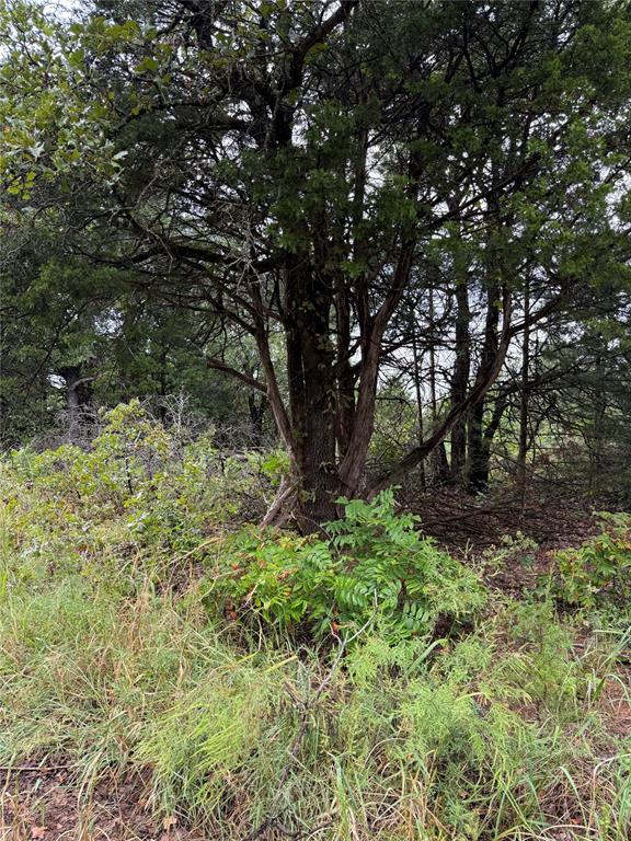 850 E 850 Road Property Photo 4