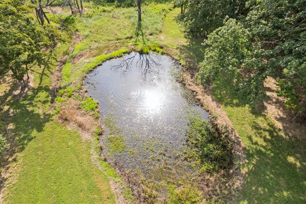 34603 Pinehill Road Property Photo 12