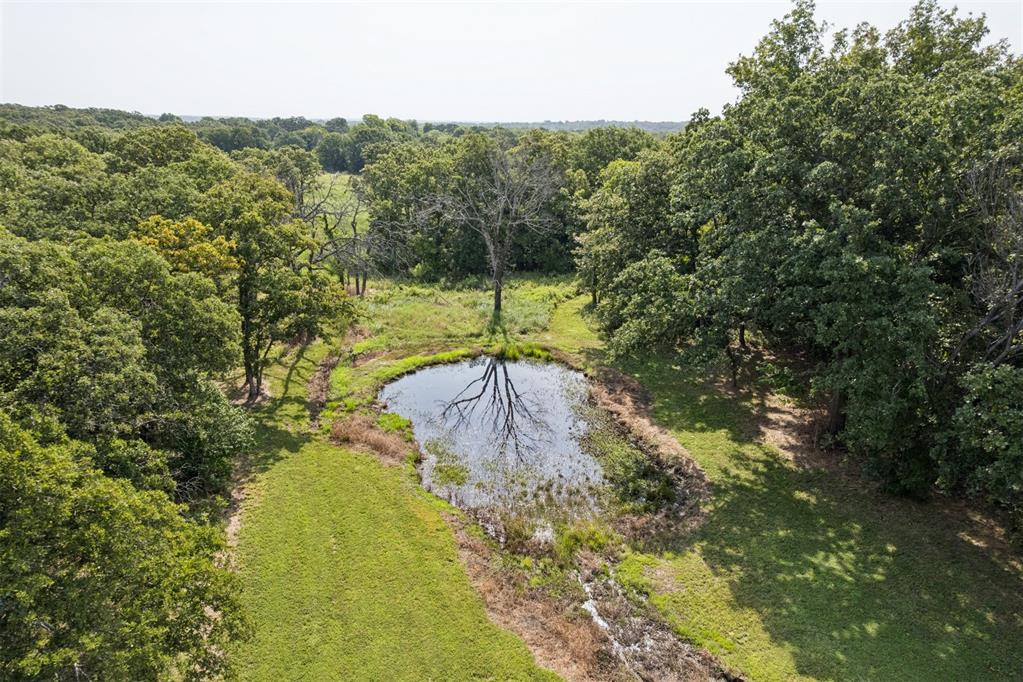 34603 Pinehill Road Property Photo 13