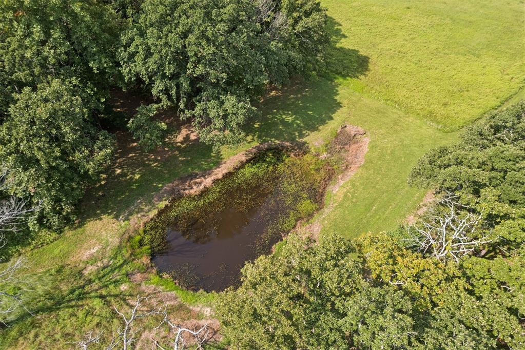 34603 Pinehill Road Property Photo 14