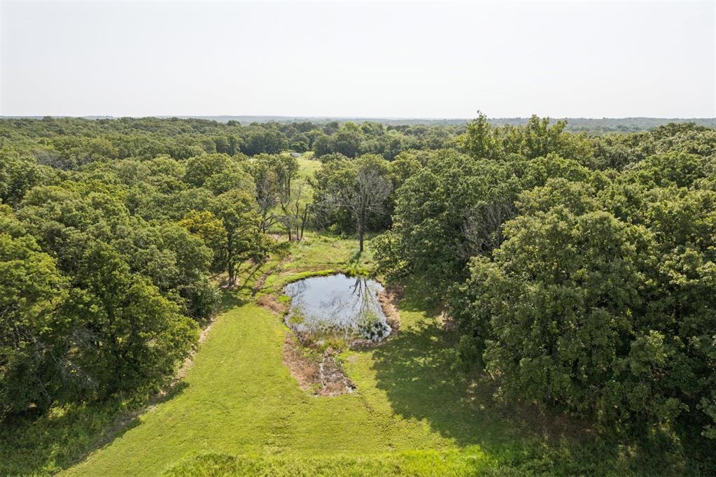 34603 Pinehill Road Property Photo 15
