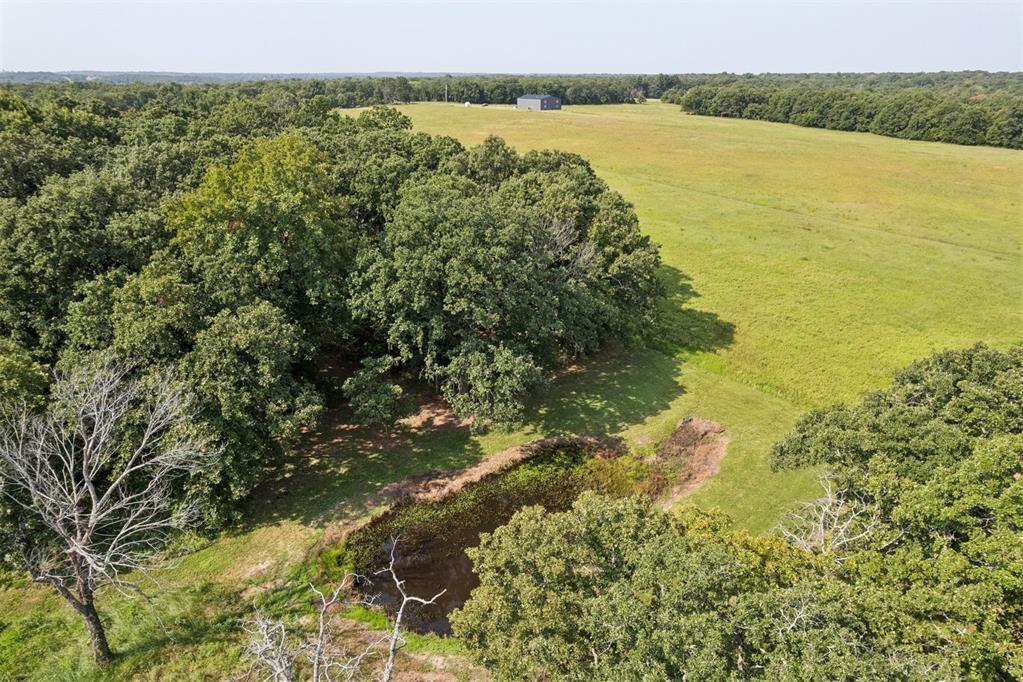 34603 Pinehill Road Property Photo 16