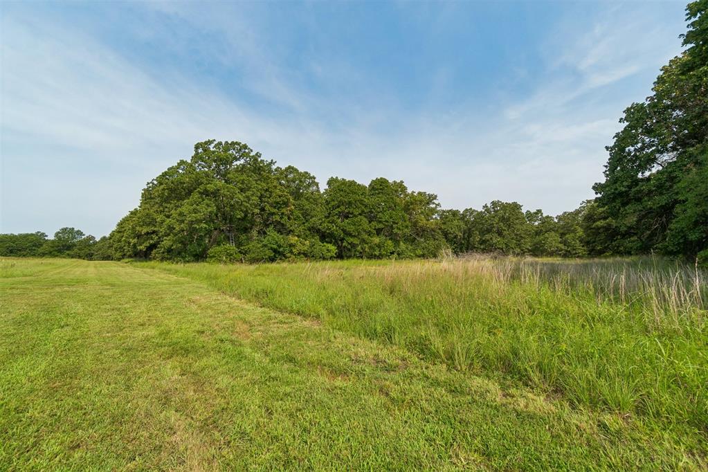 34603 Pinehill Road Property Photo 21