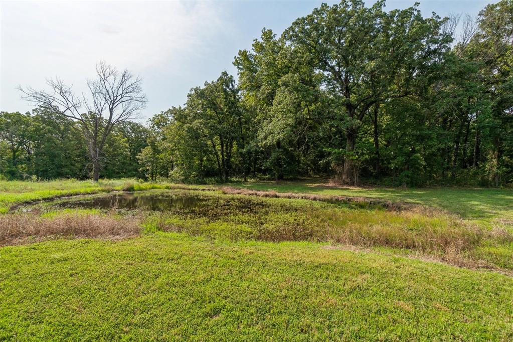 34603 Pinehill Road Property Photo 22