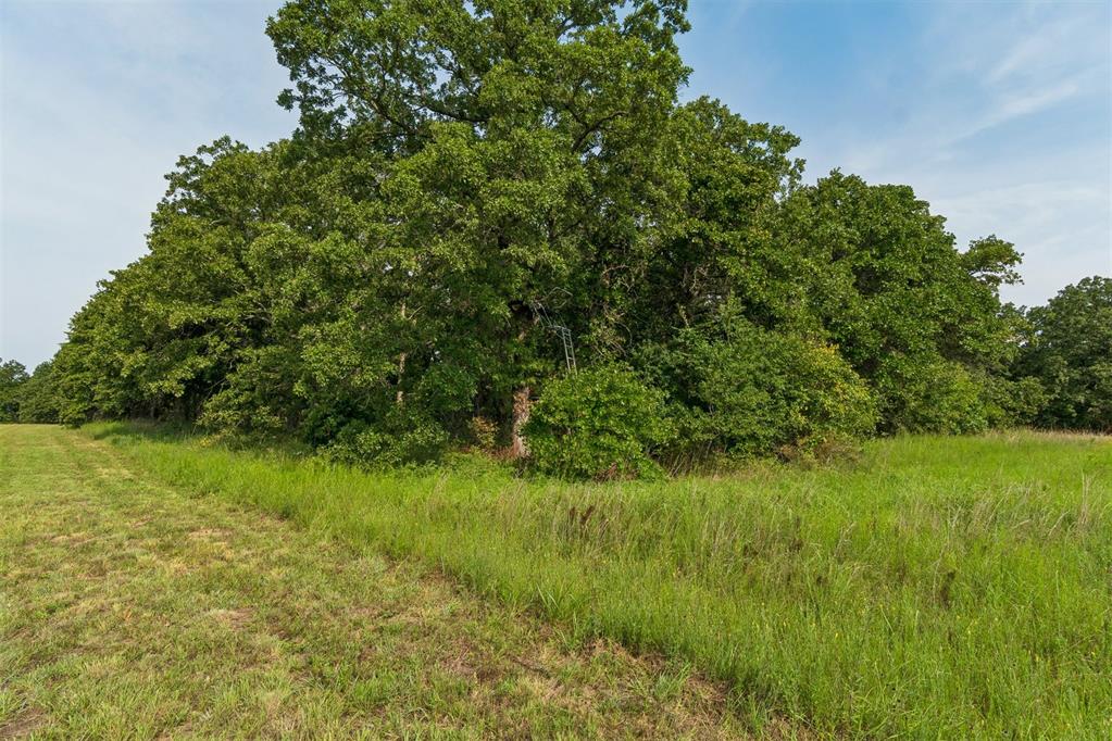34603 Pinehill Road Property Photo 23