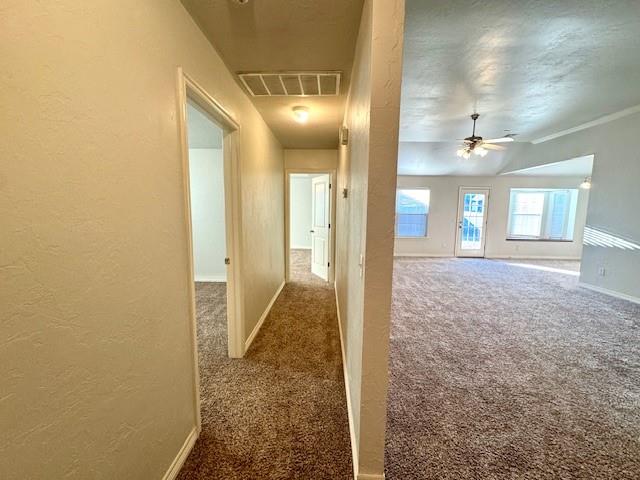 1005 Westridge Drive Property Photo 13