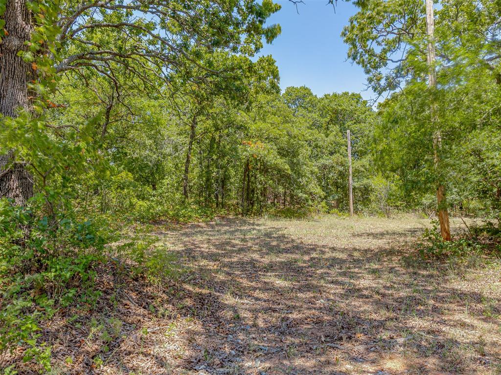 Banner Road Property Photo 5