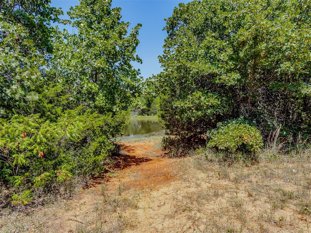 Banner Road Property Photo 13