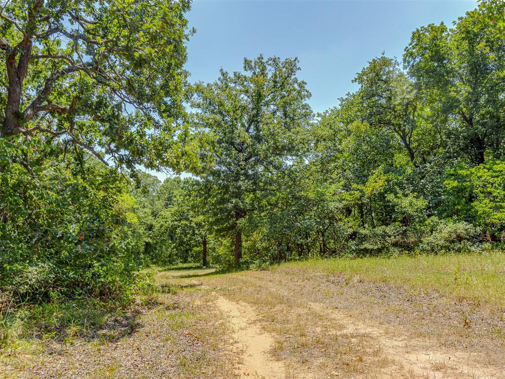 Banner Road Property Photo 18