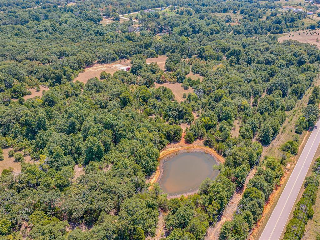 Banner Road Property Photo 32