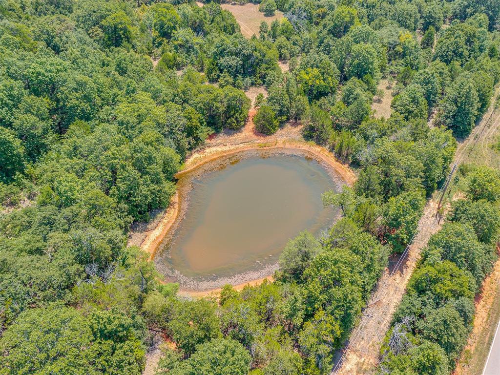 Banner Road Property Photo 33