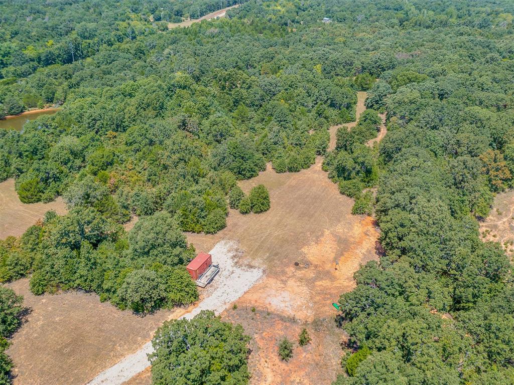 Banner Road Property Photo 34