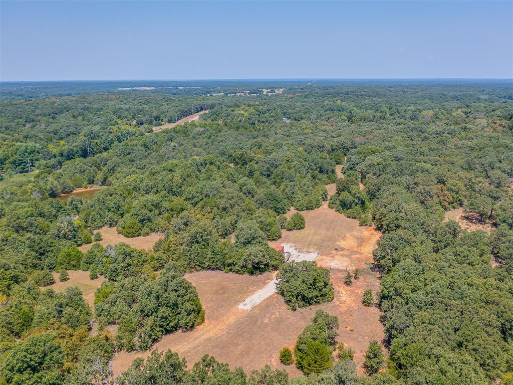 Banner Road Property Photo 35