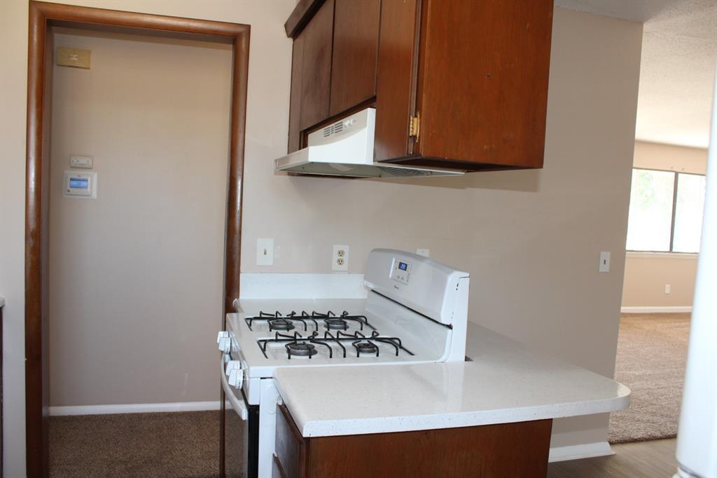 9909 Harmony Drive Property Photo 7