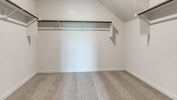 7709 Three Woods Lane Property Photo 17