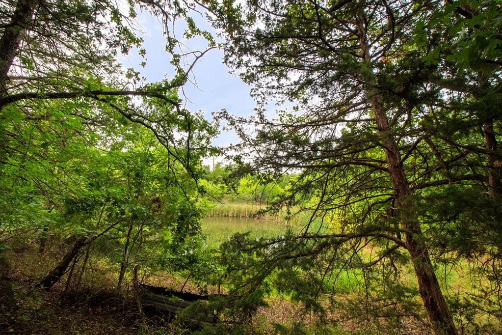 5057 Kay Starr Trail Property Photo 6