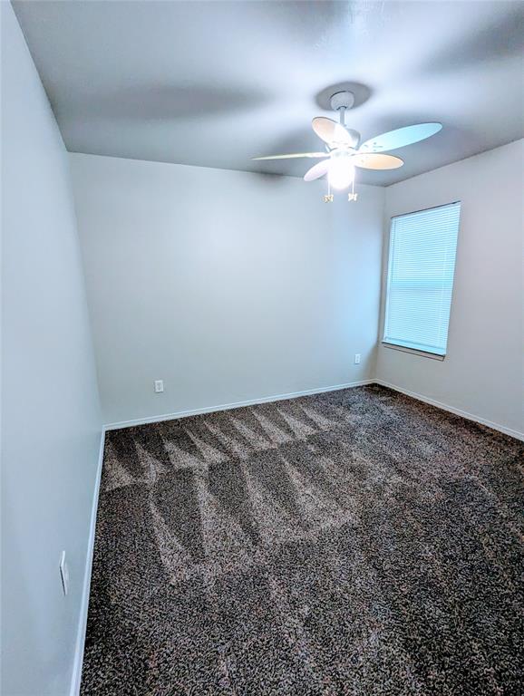 1243295 Property Photo 12