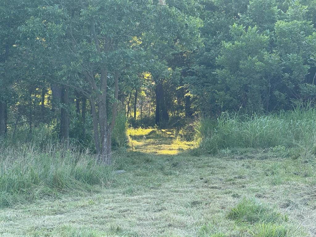 60 Pecan Valley Lot 60 Road Property Photo 2