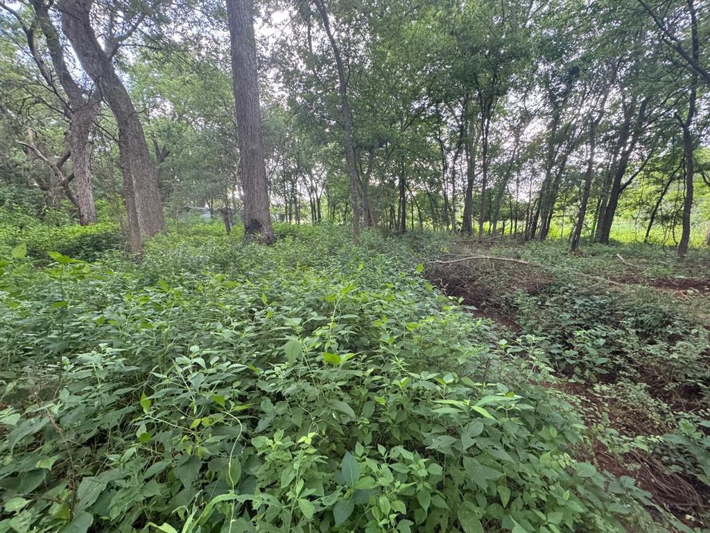 60 Pecan Valley Lot 60 Road Property Photo 3