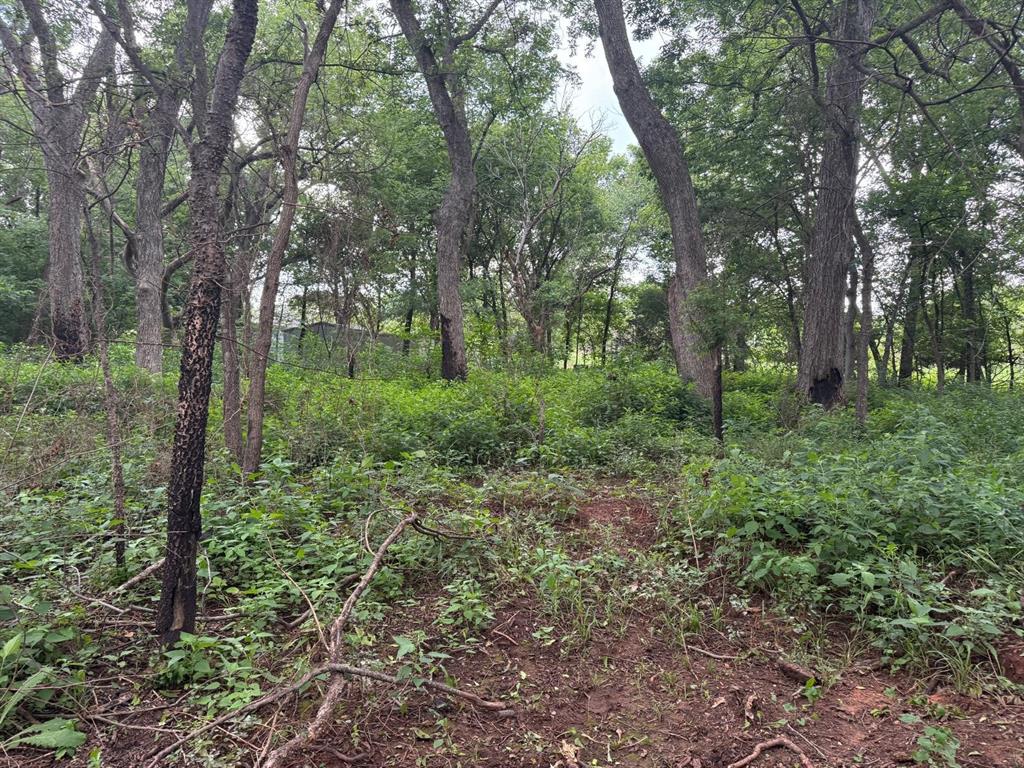 60 Pecan Valley Lot 60 Road Property Photo 4
