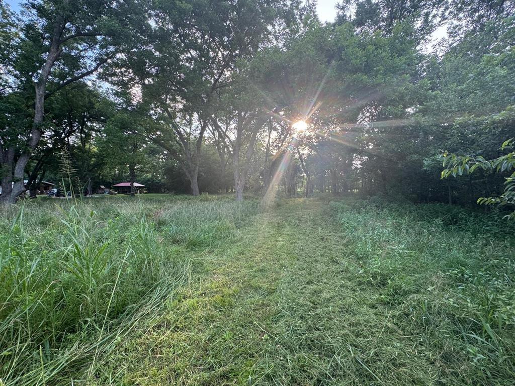 60 Pecan Valley Lot 60 Road Property Photo 5
