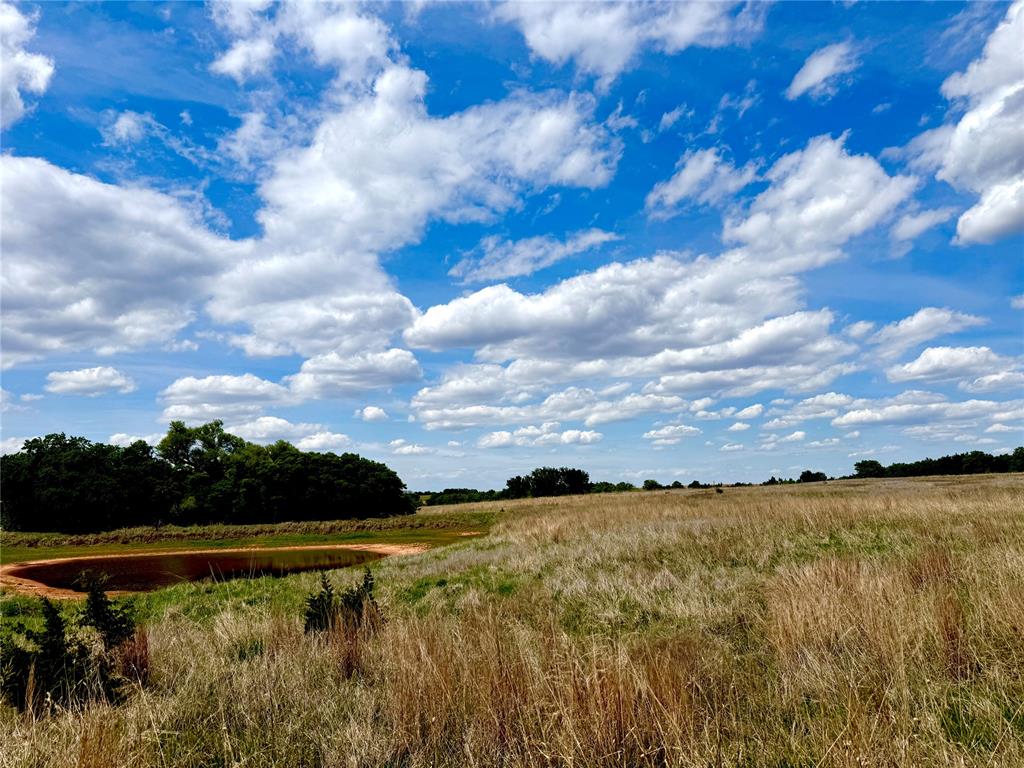 Nw 164th Street Nw 15 Acres Property Photo 3