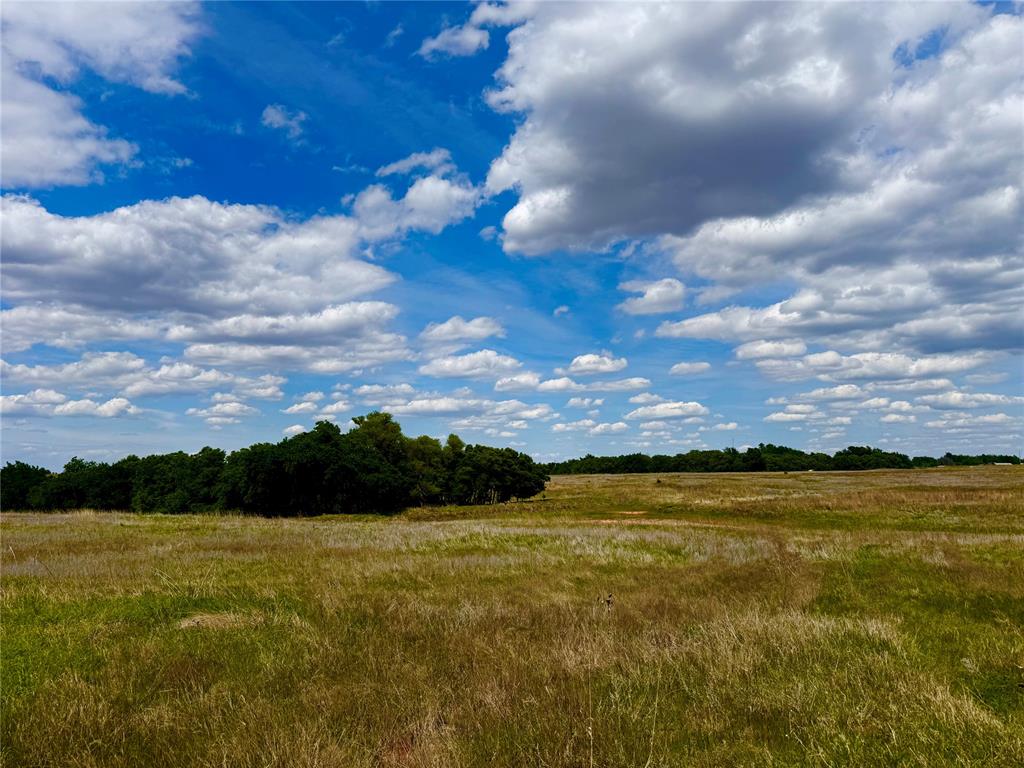 Nw 164th Street Nw 15 Acres Property Photo 4