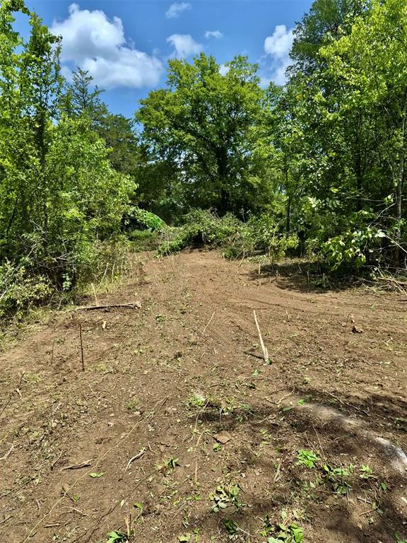 N Ridge Point Rd Road Property Photo 2