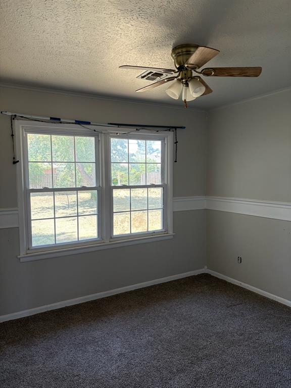3113 Mockingbird Lane Property Photo 33