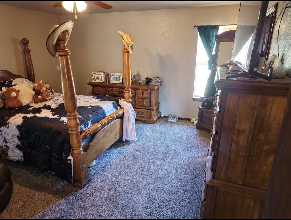 12175 250th Street Property Photo 30