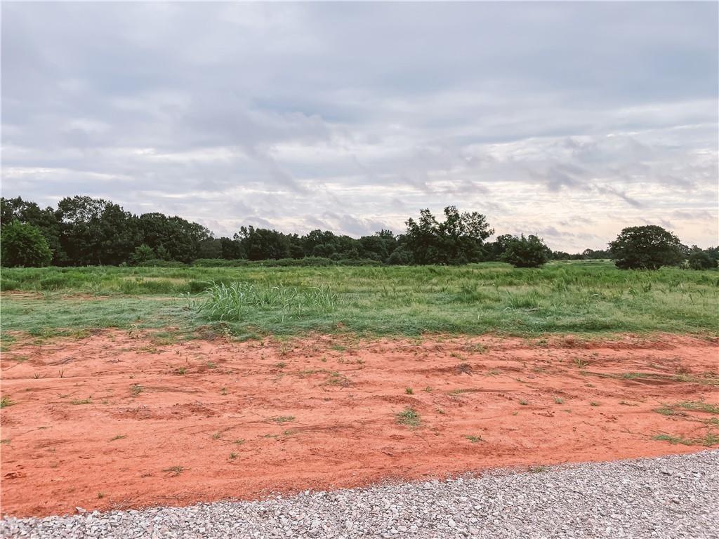 Timber Oak Road Property Photo 6