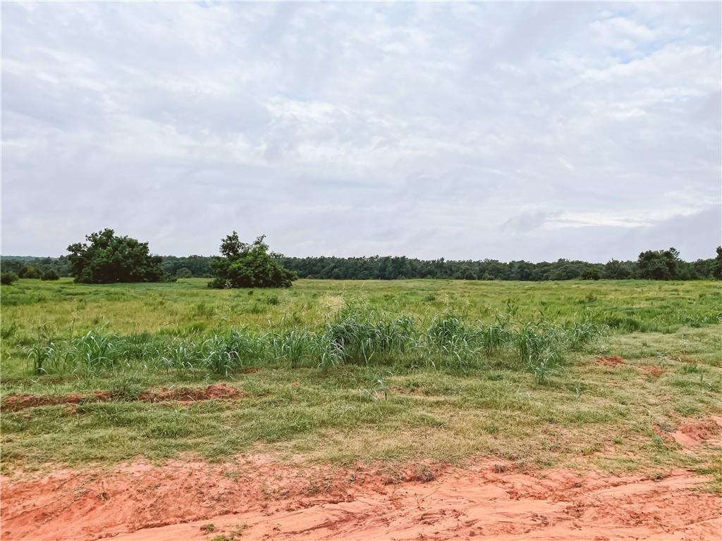 Timber Oak Road Property Photo 13