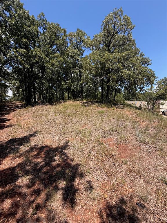 1336 Saybrook Road Property Photo 5