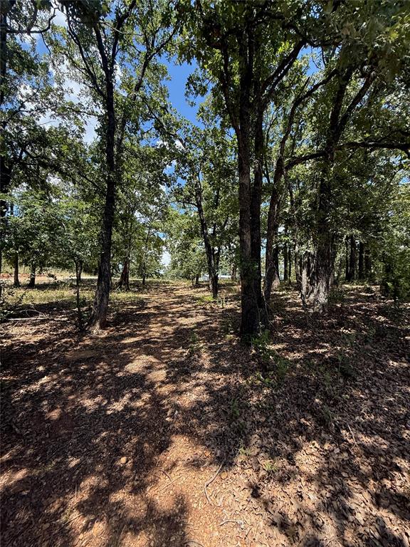 1336 Saybrook Road Property Photo 6
