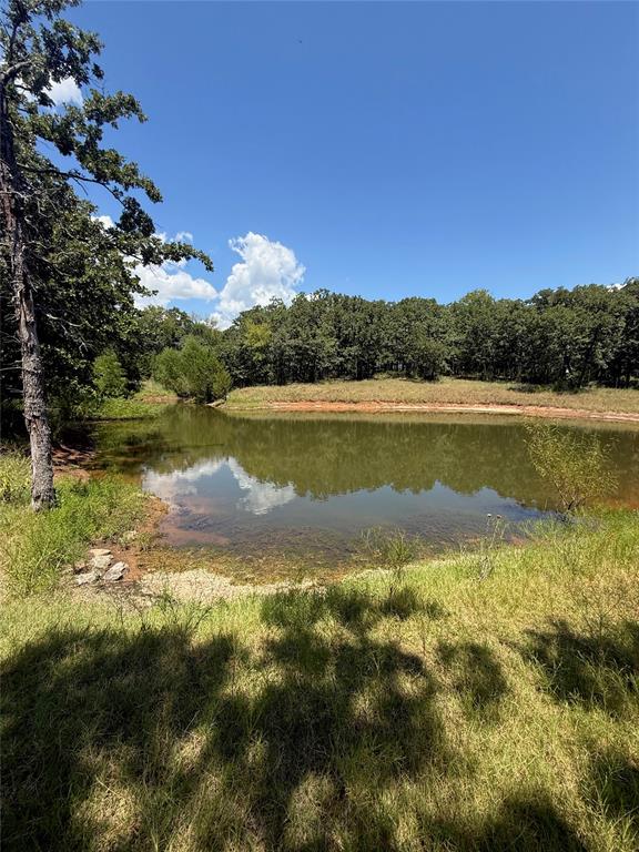 1336 Saybrook Road Property Photo 8