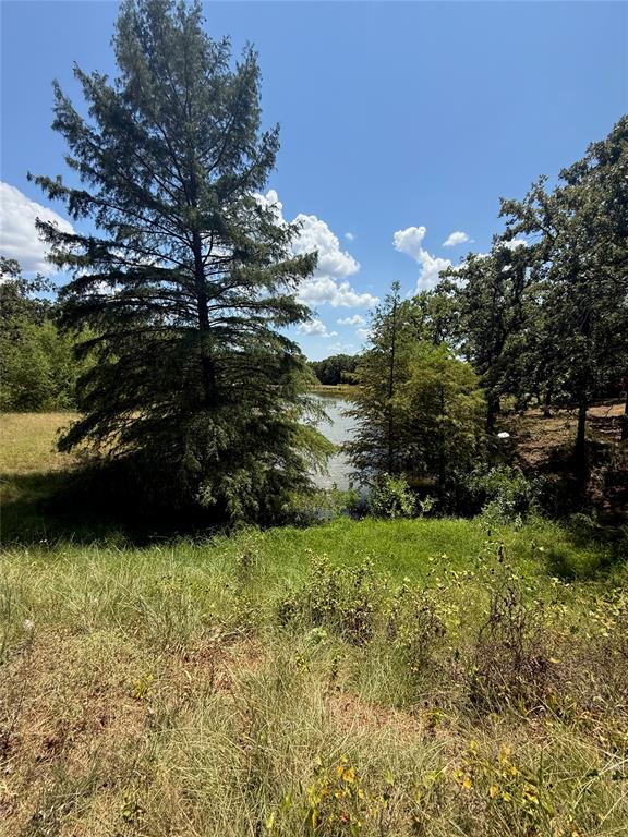1336 Saybrook Road Property Photo 10