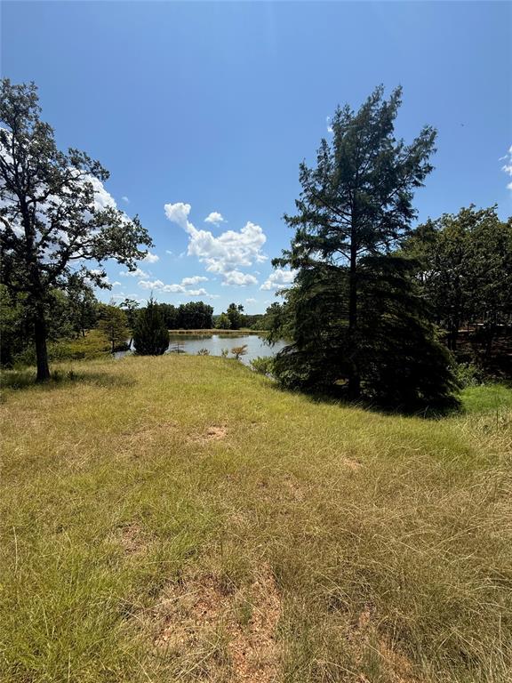 1336 Saybrook Road Property Photo 11