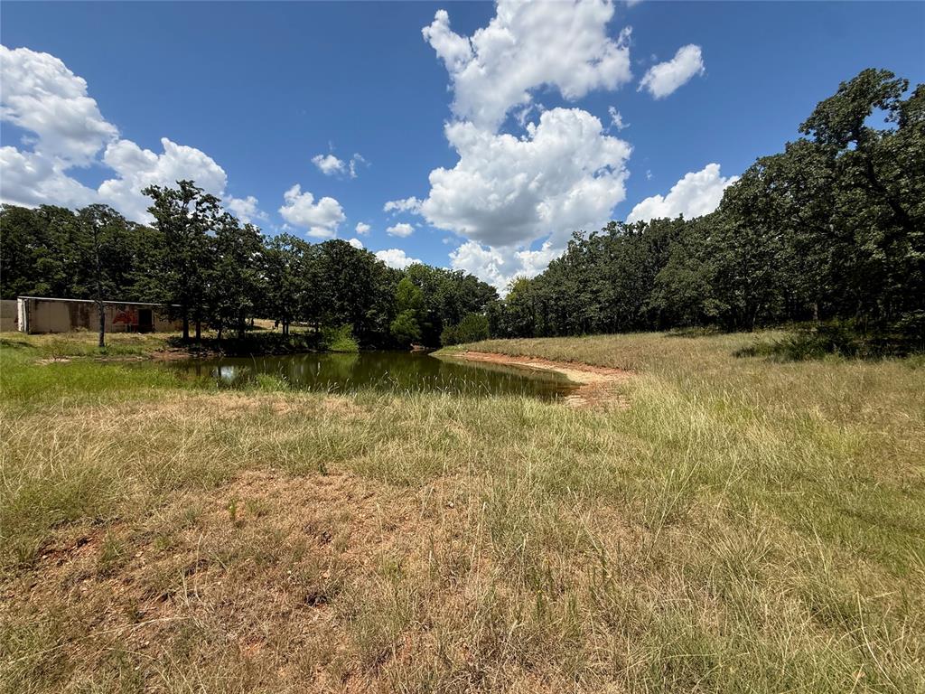 1336 Saybrook Road Property Photo 13