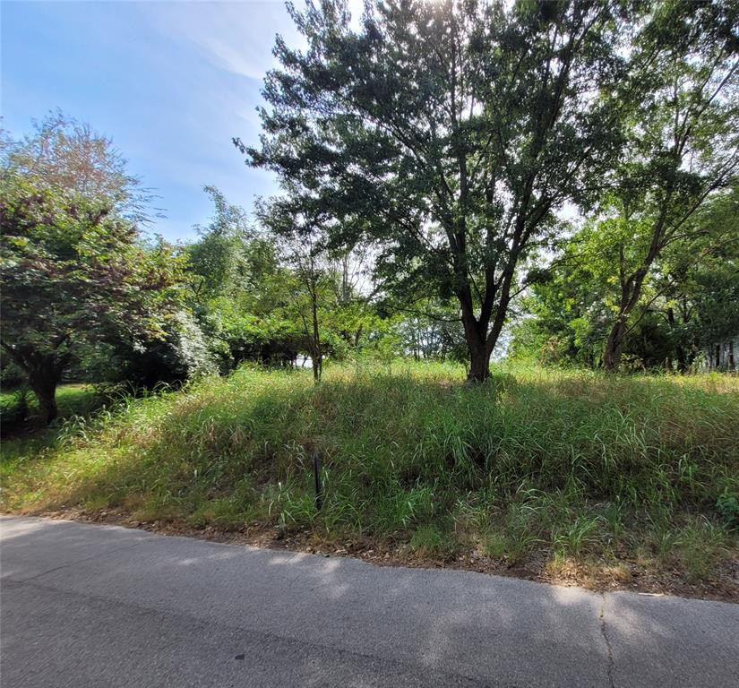 312 S Minnesota Avenue Property Photo 1