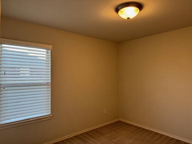 1007 Eaglerock Lane Property Photo 37