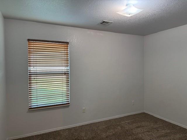 2412 Waterleaf Drive Property Photo 19