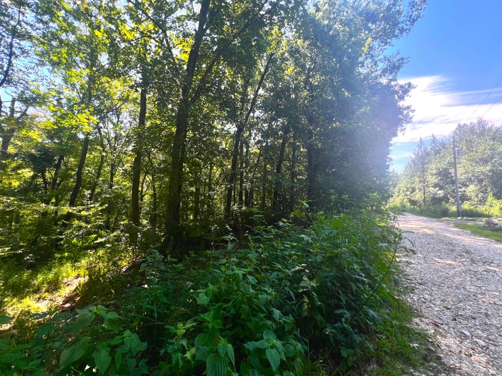 310 White Fox Lane Property Photo 1