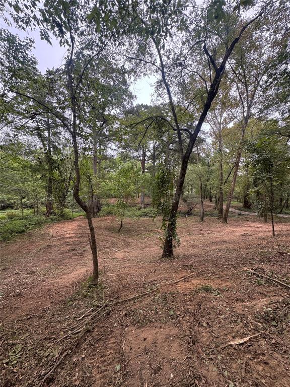 310 White Fox Lane Property Photo 1