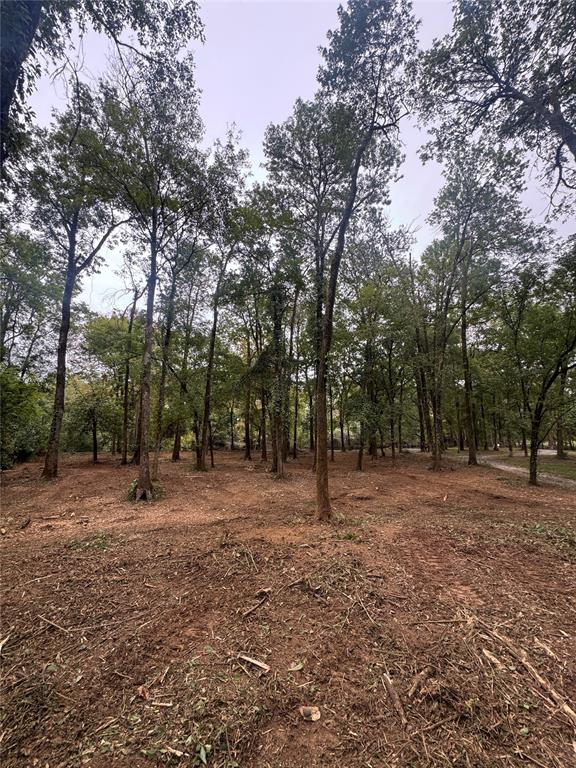 310 White Fox Lane Property Photo 4