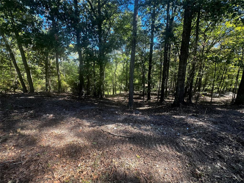 310 White Fox Lane Property Photo 7