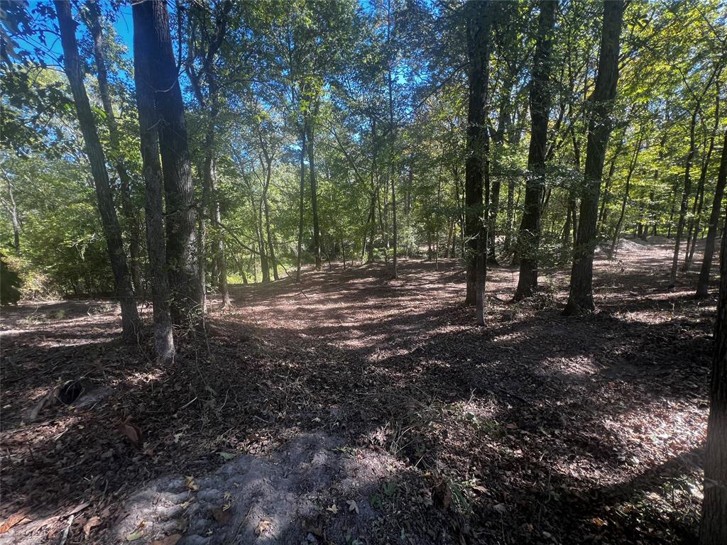 310 White Fox Lane Property Photo 8
