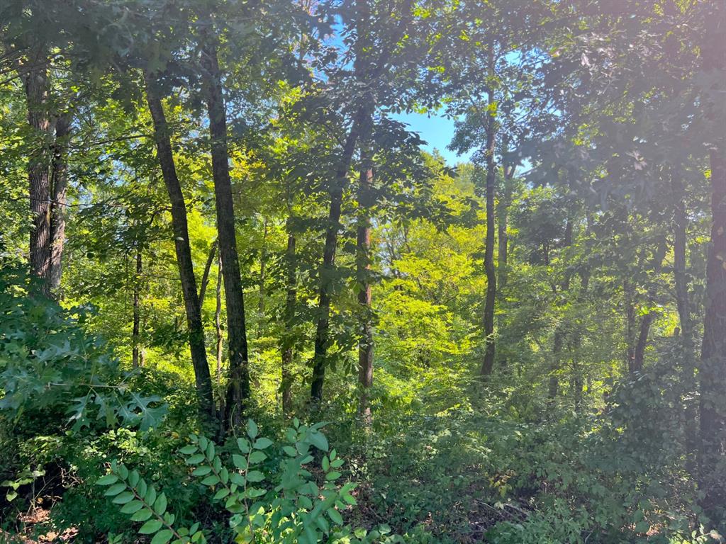 310 White Fox Lane Property Photo 10