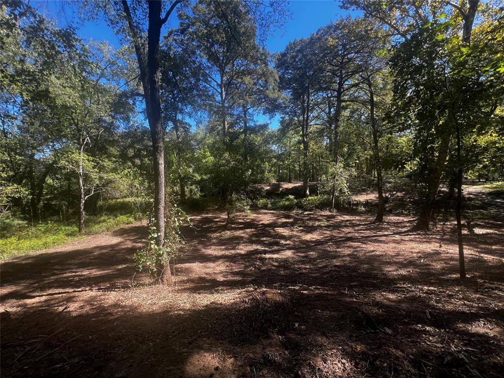 310 White Fox Lane Property Photo 10
