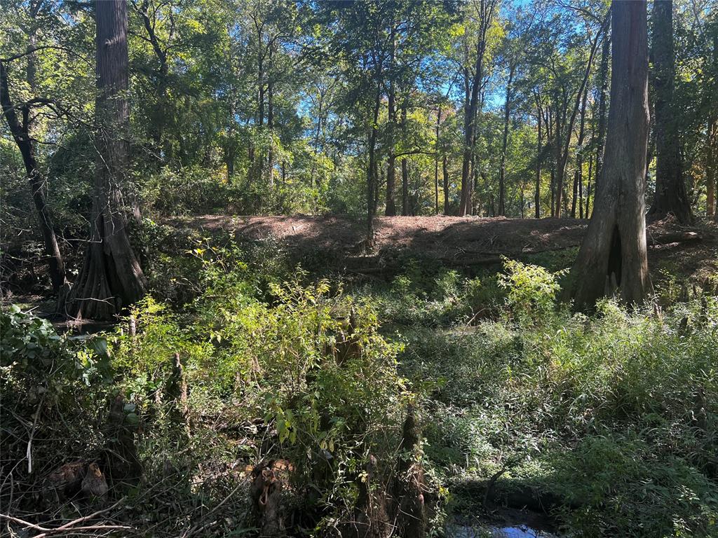 310 White Fox Lane Property Photo 11