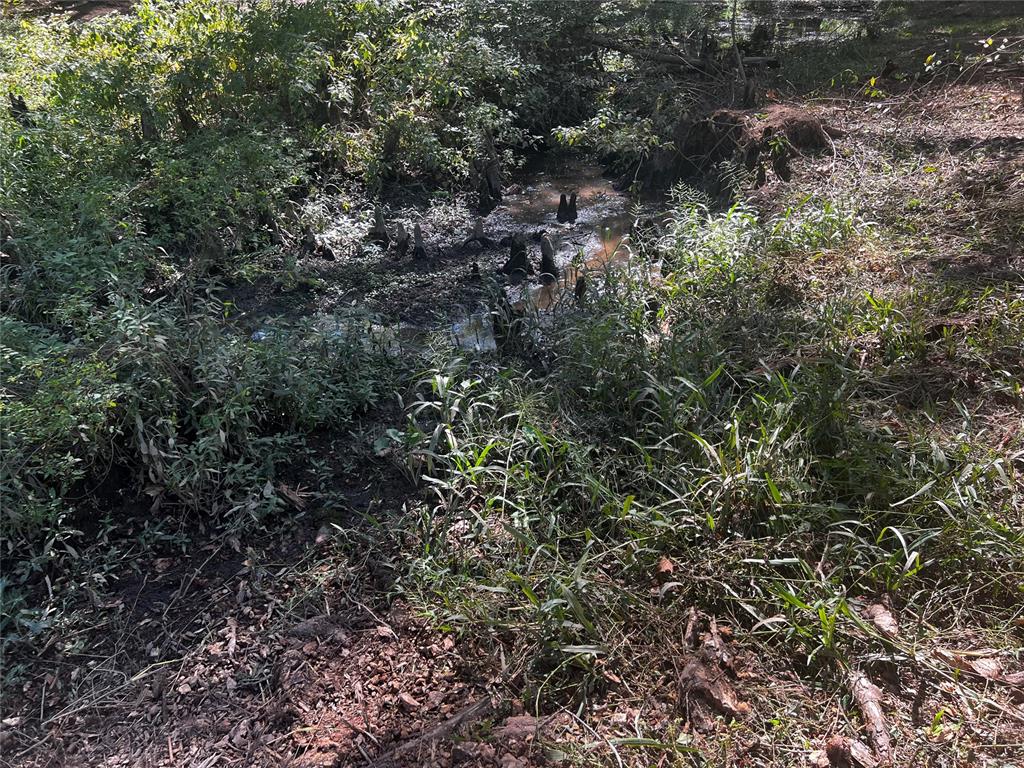 310 White Fox Lane Property Photo 12